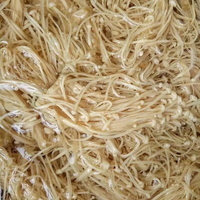 無硫金針菇干貨 優(yōu)質食用菌的多領域應用與批發(fā)優(yōu)勢