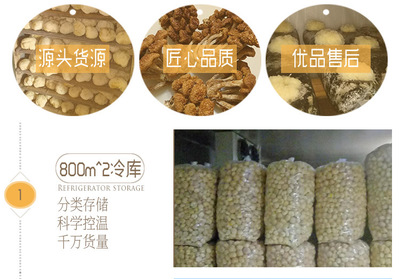 金針菇干貨 無硫新標準，酒店與工廠的優(yōu)選食材