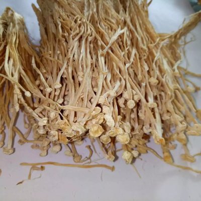 優(yōu)質金針菇干貨 無硫農產品在酒店、提煉廠與畜牧漁業(yè)的多領域應用
