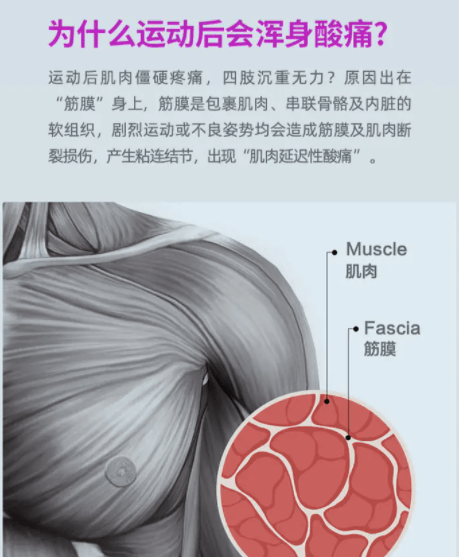 筋膜槍，是放松神器還是健康隱患？揭秘其真實(shí)效用與四大潛在風(fēng)險(xiǎn)
